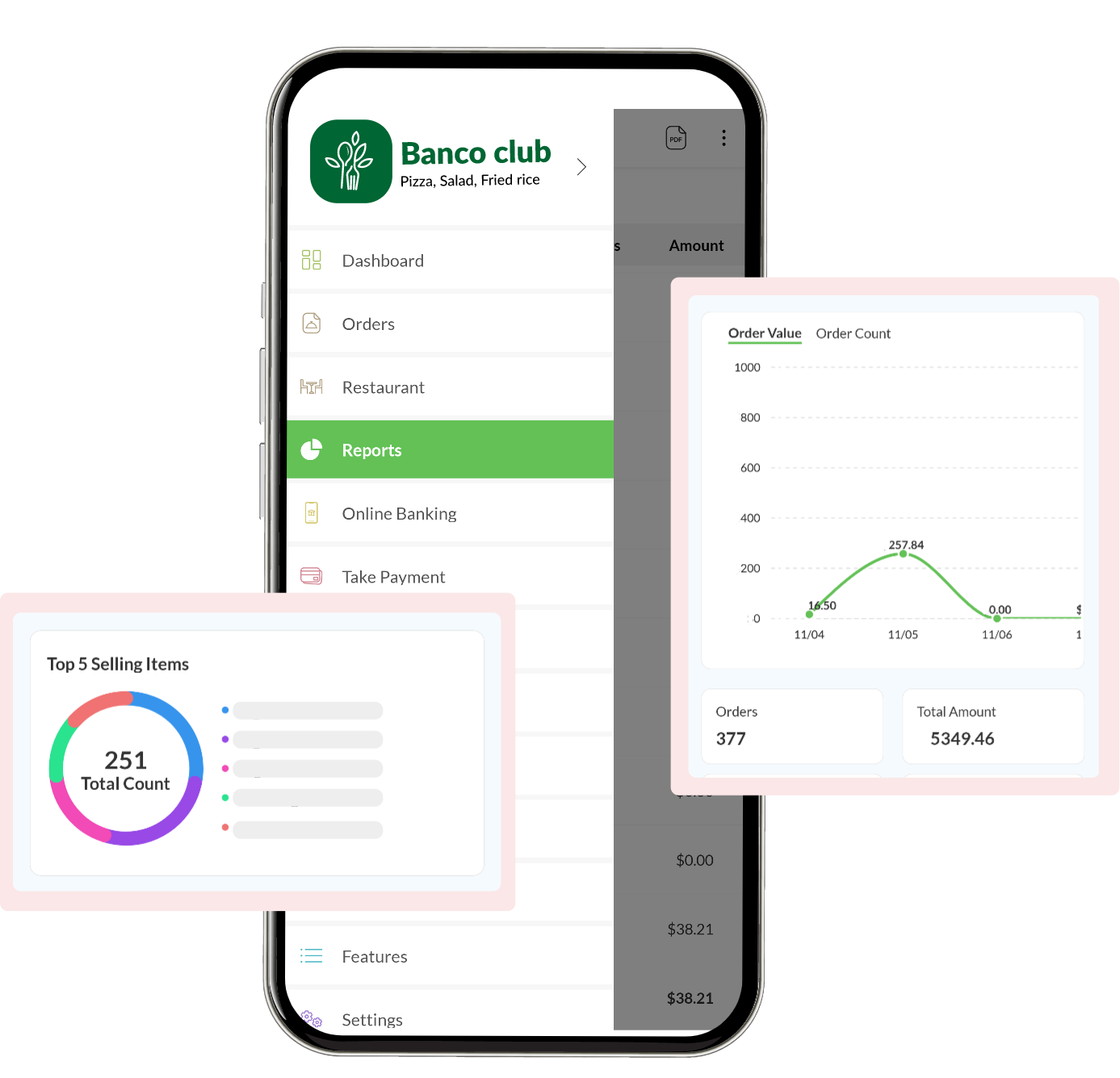 Business insights and reports